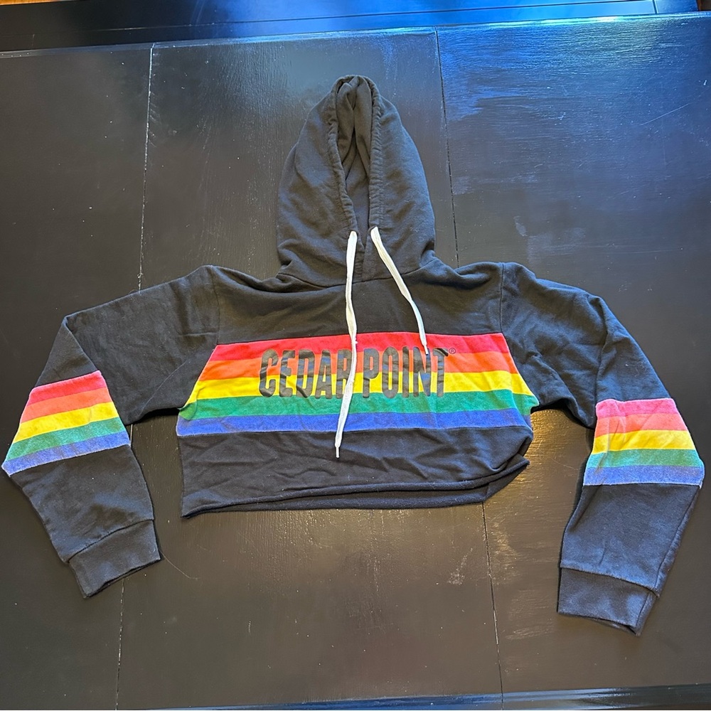 Cedar Point Small LGBT Rainbow Crop Top Sweatshirt Pullover Sweater Warm Fall